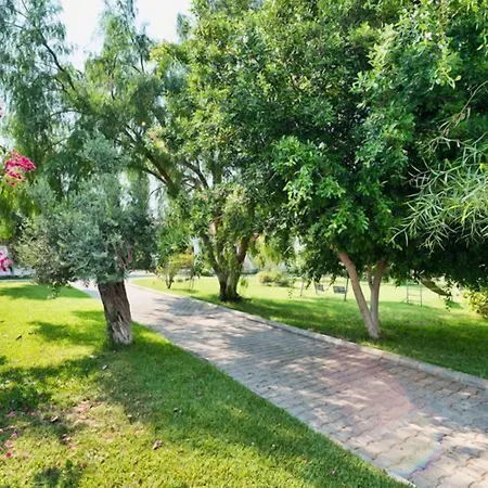 Bare Hill Village 2*