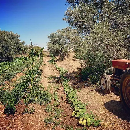 Semesteranläggning (resort) Bare Hill Village 2*