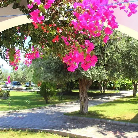 Bare Hill Village Elea