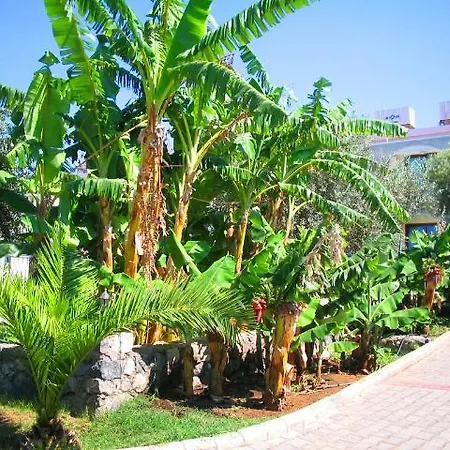 Hotel Bare Hill Village Elea