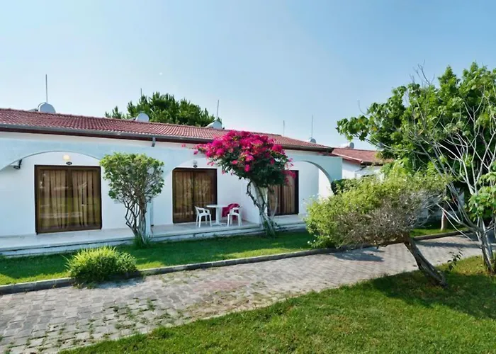 Bare Hill Village Elea