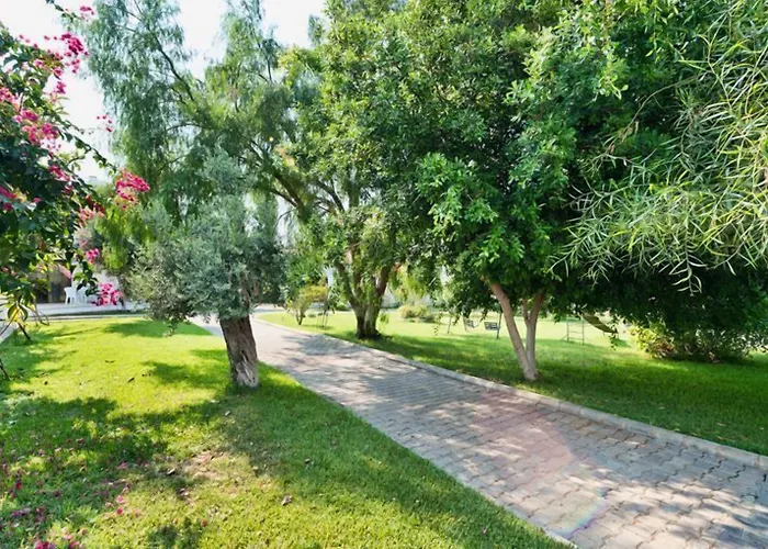 Bare Hill Village 2*