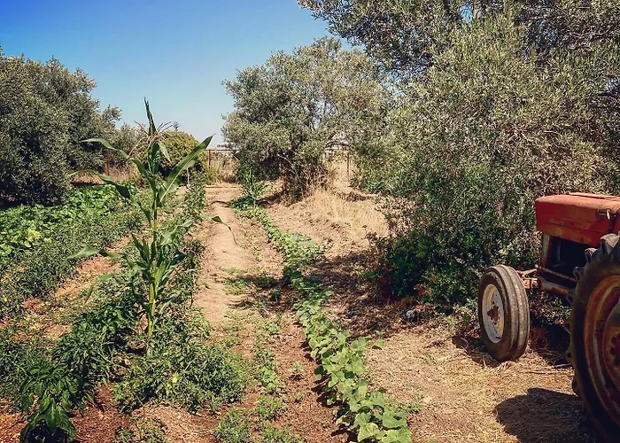 Resort Bare Hill Village 2*