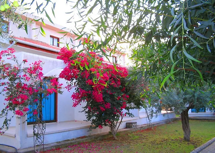 Bare Hill Village Elea