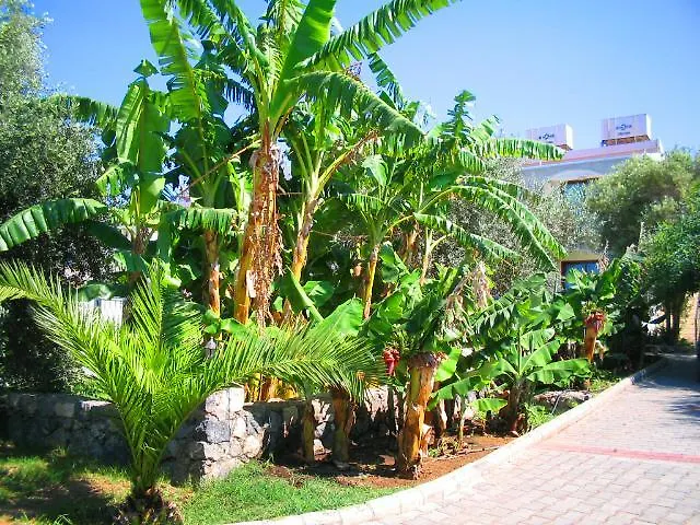 Resort Bare Hill Village Elea