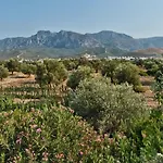 Bare Hill Village