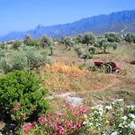 Bare Hill Village Elea