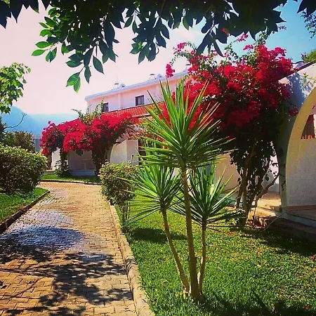 Resort Bare Hill Village