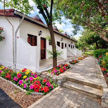 Bare Hill Village Elea