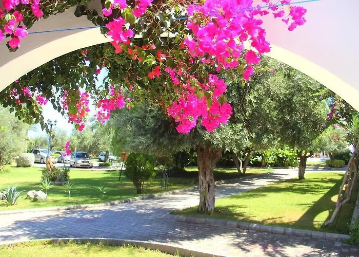 Bare Hill Village Elea