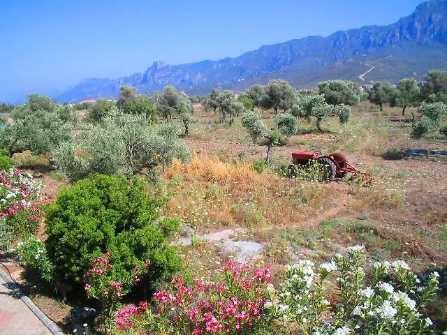 Bare Hill Village Elea